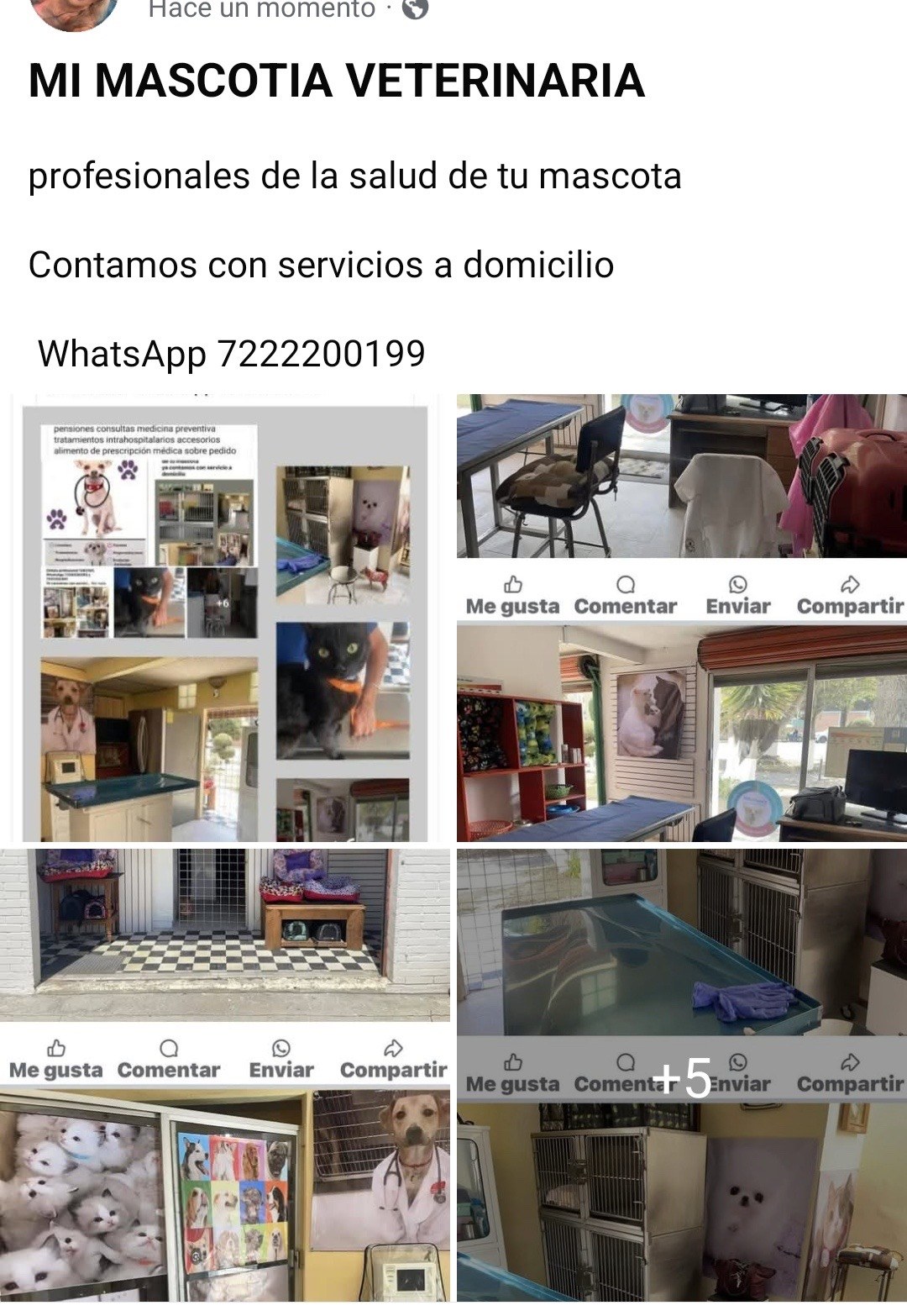 Desparasitaciones