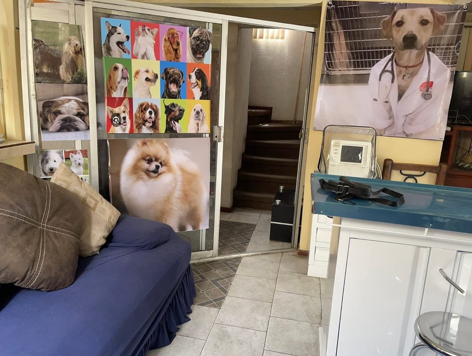 Instalaciones de MI MASCOTIA VETERINARIA